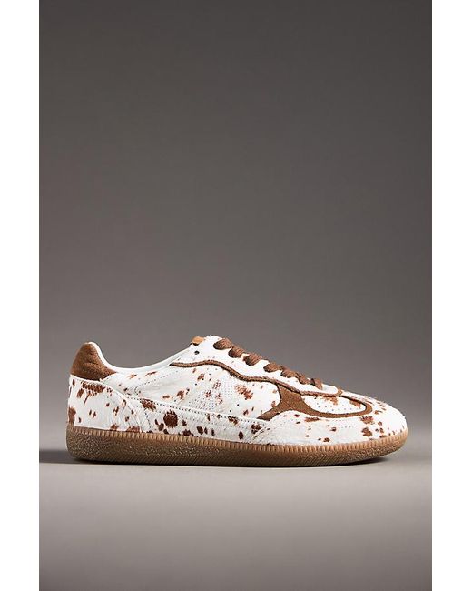 Alohas Gray Tb.490 Rife Animal Print Trainers