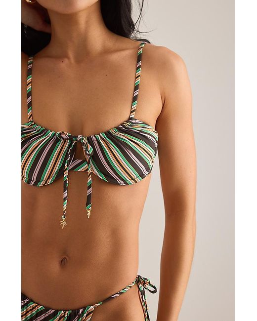 Wild Lovers Brown Sahara Bikini Top
