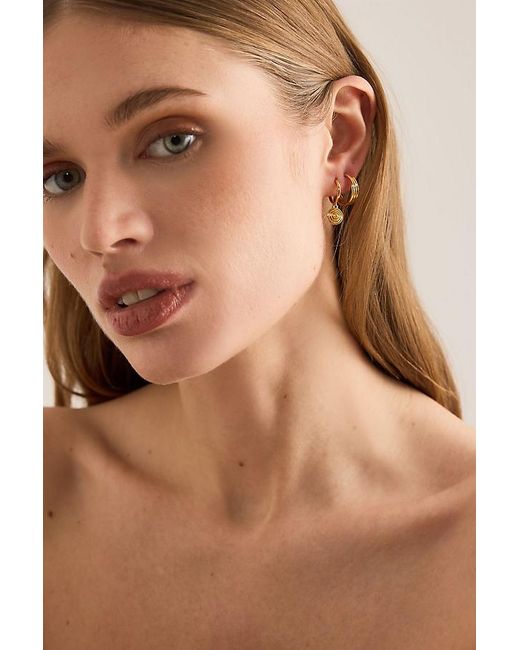 Rachel Jackson Metallic Evolve Cone Huggie Hoop Earrings