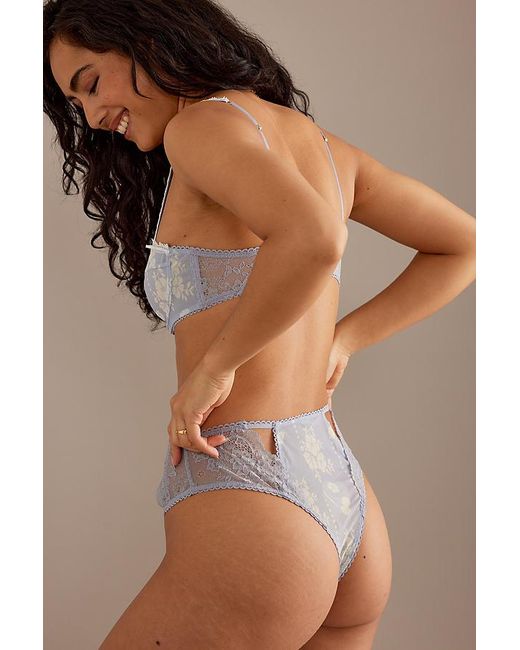Wild Lovers Brown Hailey High-waisted Knickers