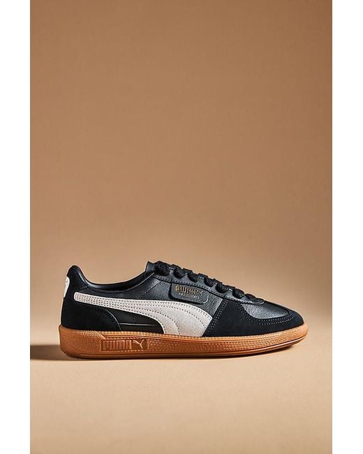 PUMA Brown Palermo Leather Trainers