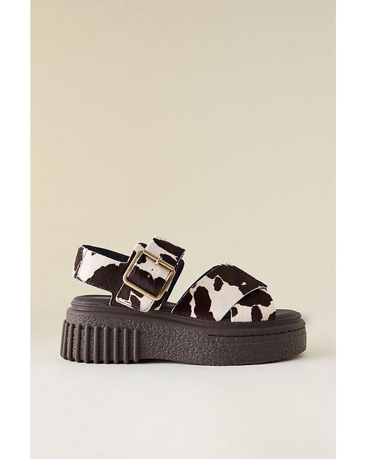 Clarks Multicolor Clarks Evamar Wish Cow Print Sandals