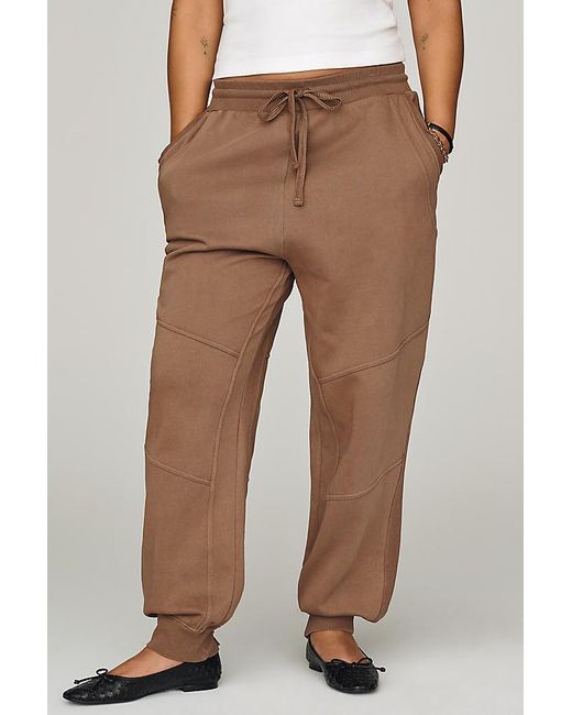 Daily Practice Brown Plie Joggers