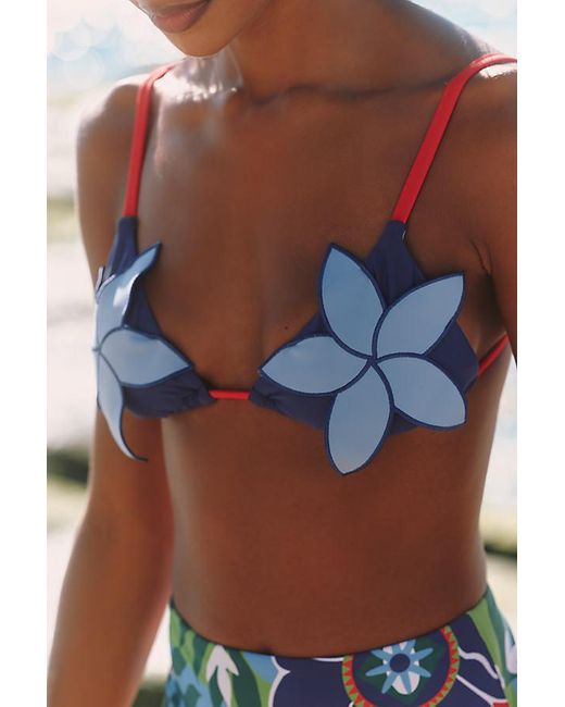 Celandine Multicolor Sophia Floral Triangle Bikini Top