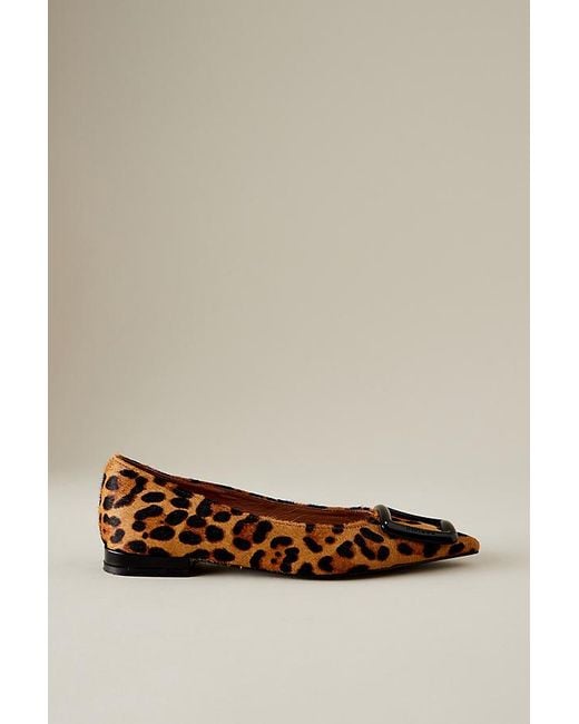 Bibi Lou Brown Poznan Leopard Flats
