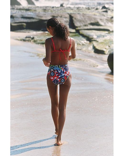 Celandine Multicolor Sophia Floral Triangle Bikini Top