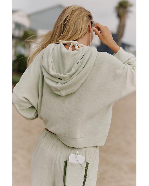 Celandine Gray Embroidered Sweatshirt