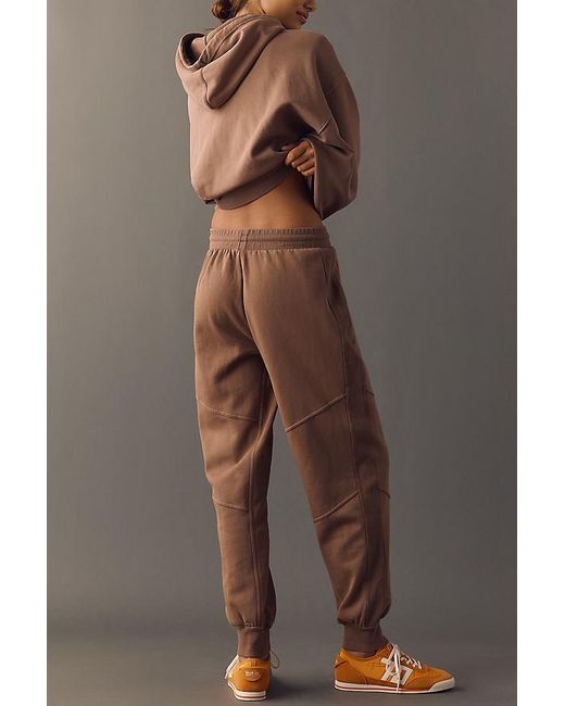 Daily Practice Brown Plie Joggers