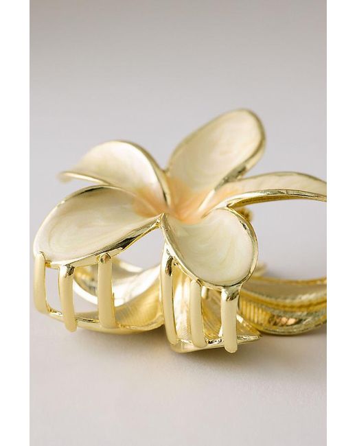 By Anthropologie Natural Metal Flower Hair Claw Clip