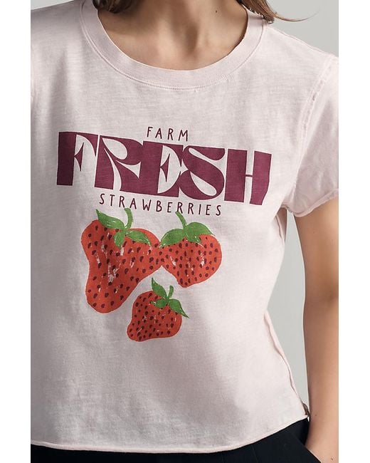 Maeve Multicolor Cotton Farm Fresh Graphic T-Shirt