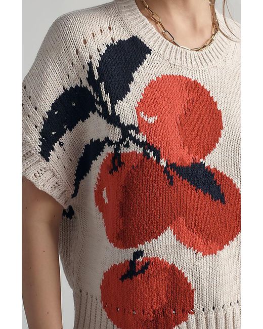 Maeve Gray Short-Sleeve Crew-Neck Veggie Motif Graphic Jumper
