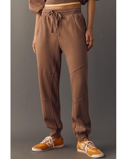 Daily Practice Brown Plie Joggers
