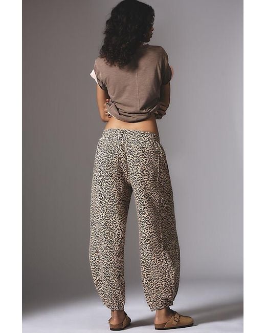Daily Practice Gray Leopard Zola Joggers