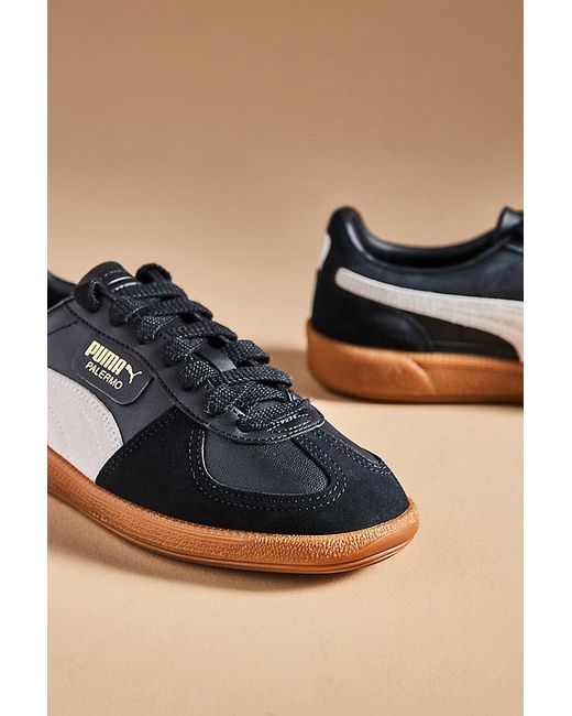 PUMA Brown Palermo Leather Trainers