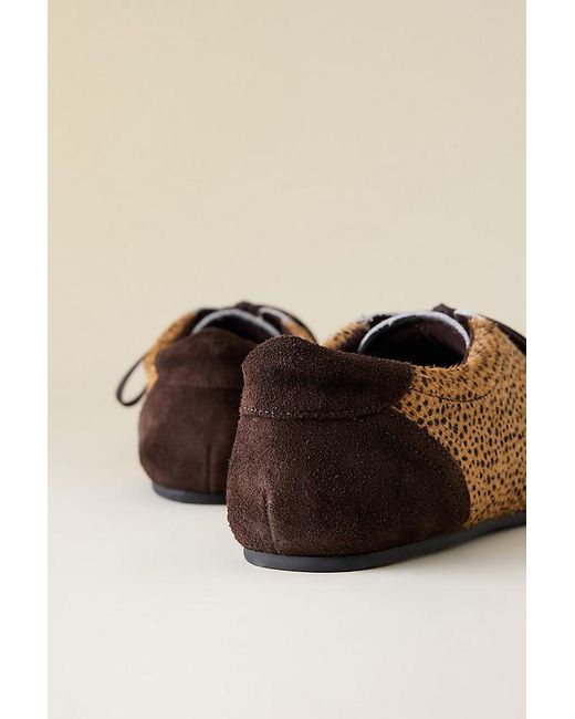 Maeve Brown Low Profile Trainers