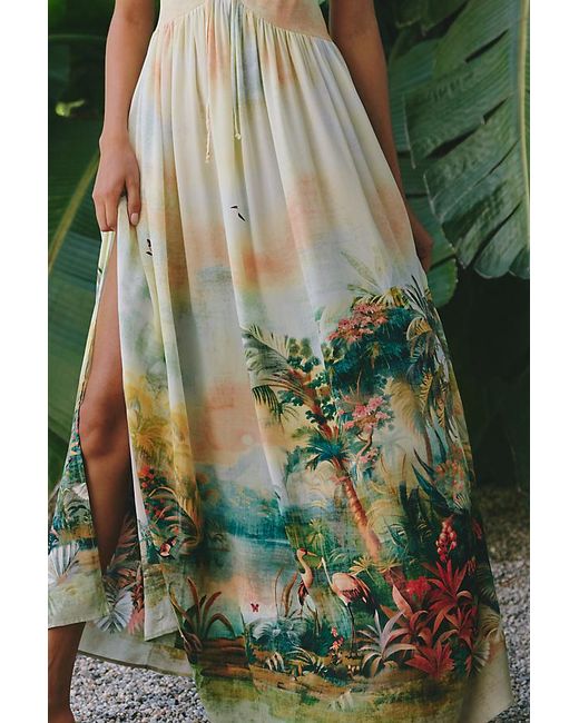 Celandine Green Sleeveless Scenic Maxi Dress