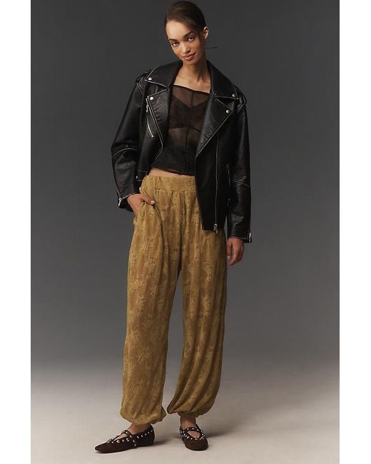 Maeve Gray Sheer Lace Balloon Trousers