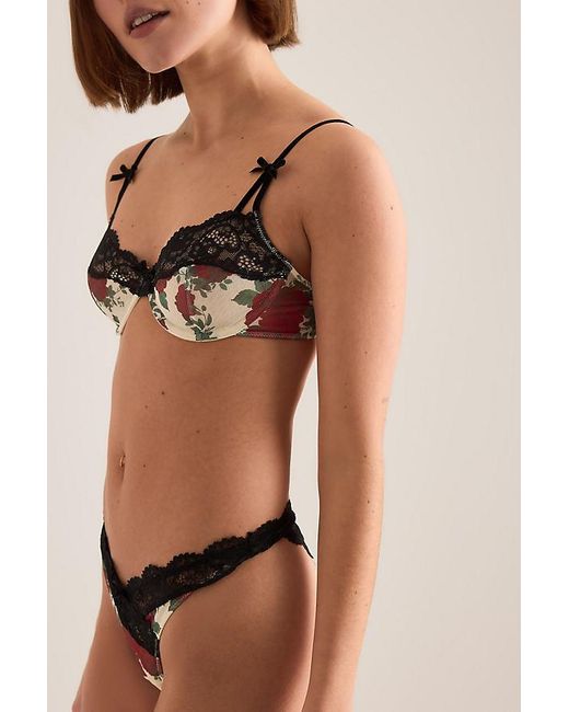 Wild Lovers Brown Liora Underwire Bra