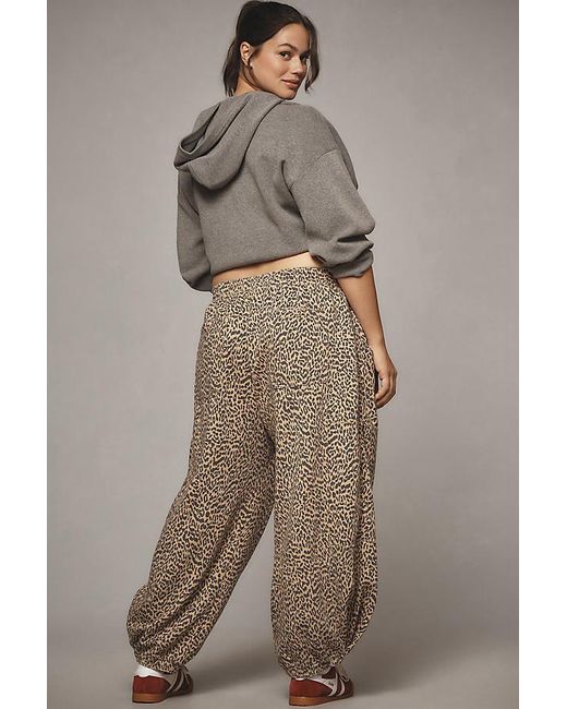 Daily Practice Gray Leopard Zola Joggers