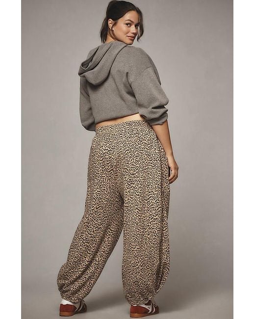 Daily Practice Gray Leopard Zola Joggers