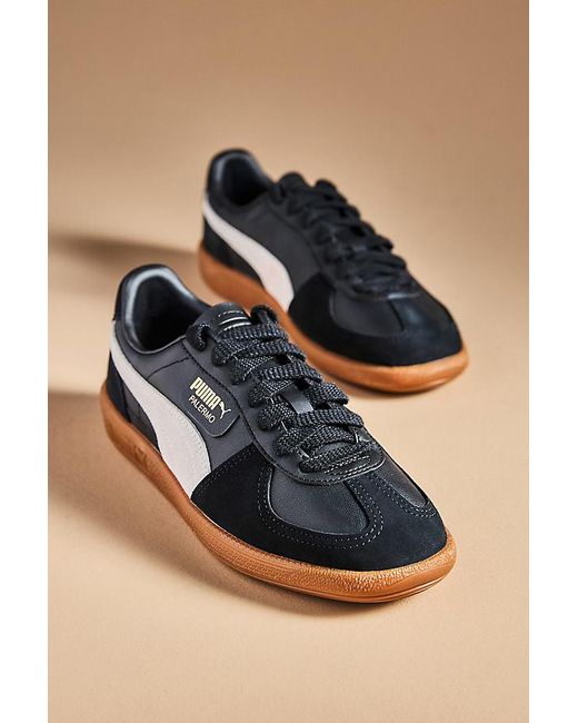 PUMA Brown Palermo Leather Trainers