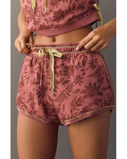 Daily Practice Brown Adventure Shorts