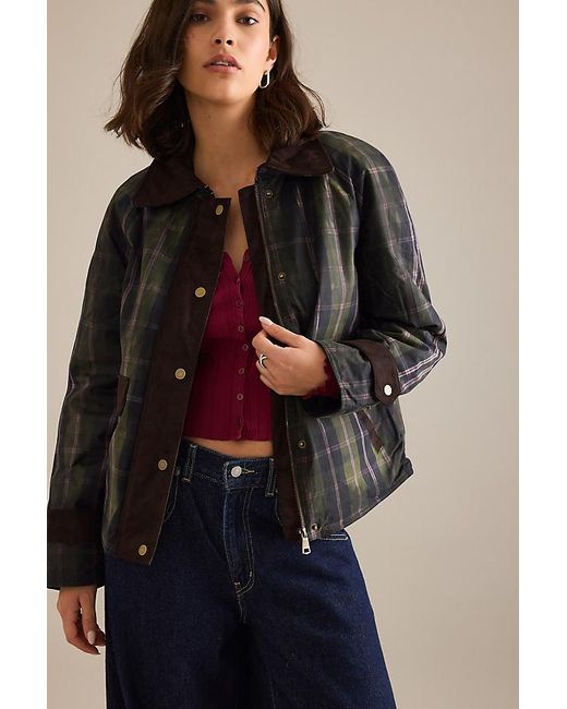 NVLT Blue Plaid Button-Front Jacket