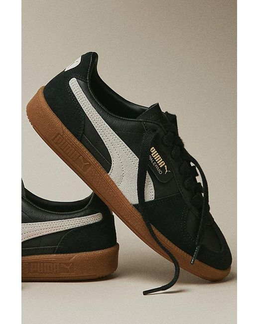 PUMA Brown Palermo Leather Trainers