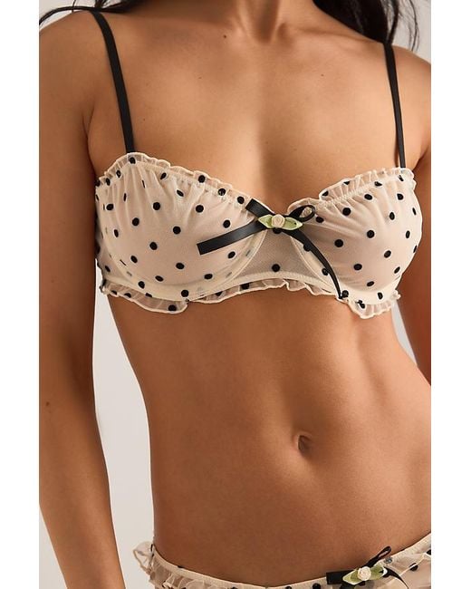 Wild Lovers Brown Romy Polka Dot Bra