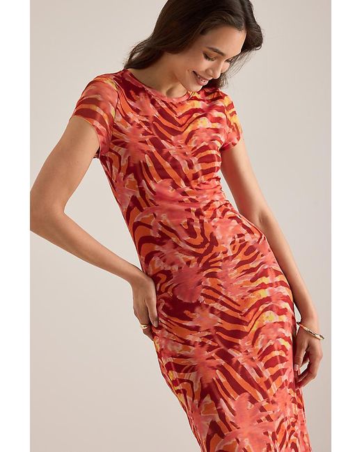 Wild Lovers Red Heatwave Cap-Sleeve Mesh Maxi Dress
