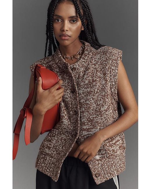 ALIGNE Brown Bronson Knitted Vest