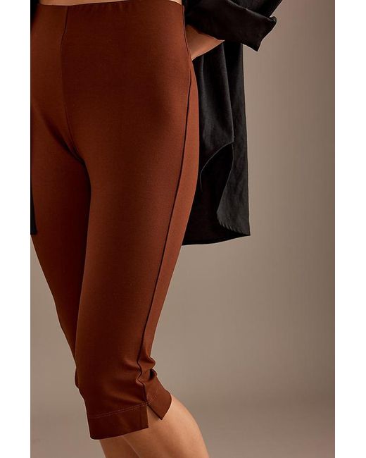 Anthropologie Brown Slim Capri Pants