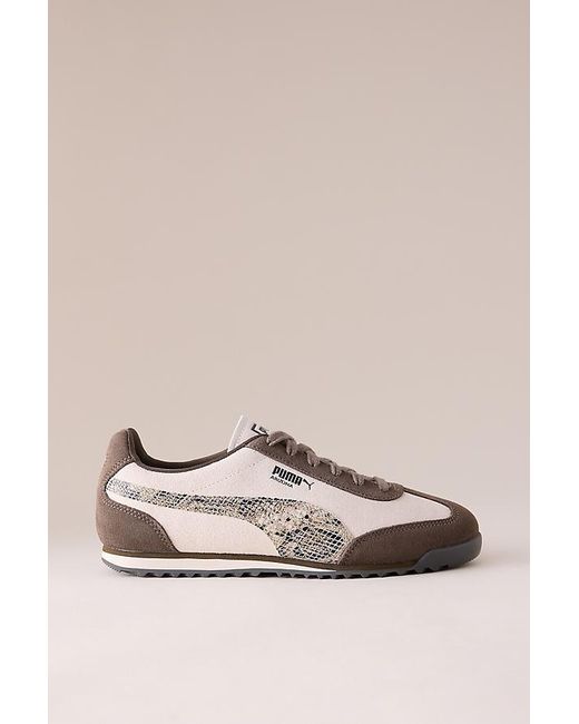 PUMA Multicolor Arizona Snake Suede Trainers