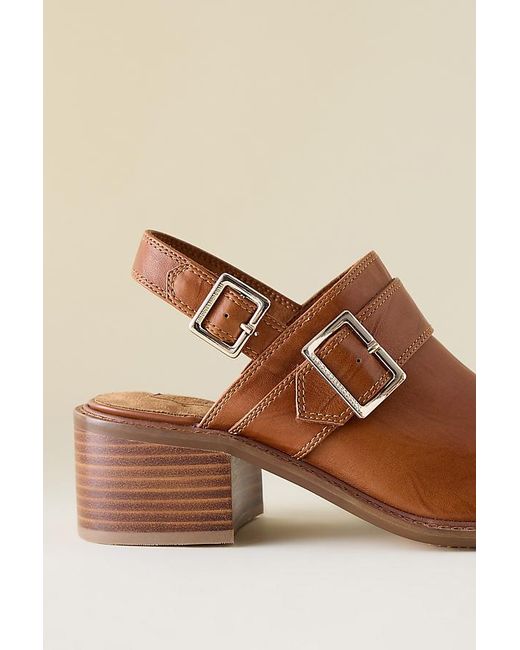Kelsi Dagger Brooklyn Brown Glory Slingback Clogs