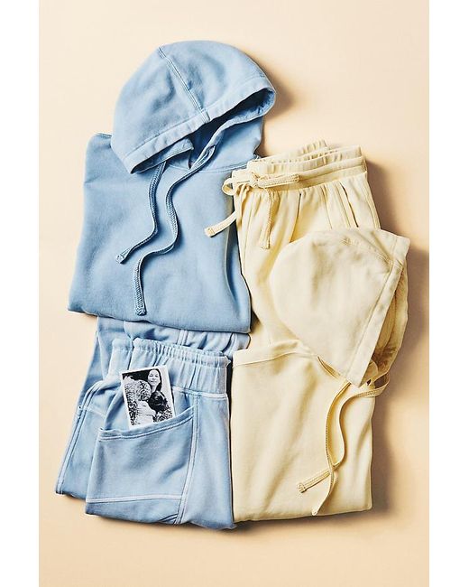 Daily Practice Metallic Plie Joggers