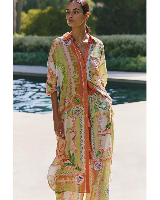 Celandine Green Long-Sleeve Sheer Maxi Shirt Dress
