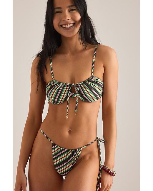 Wild Lovers Brown Sahara Bikini Top
