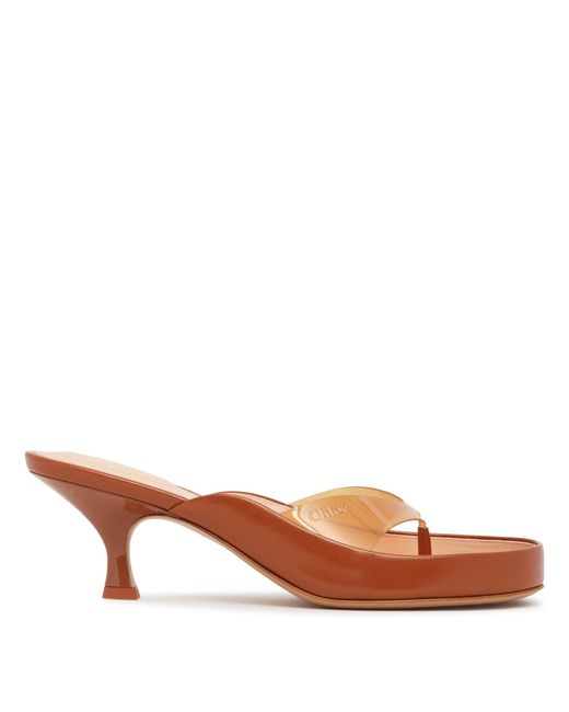 Chloé Brown And Transparent Junie Sandals
