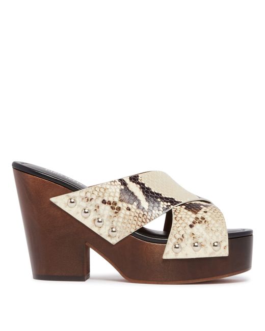 Paris Texas Brown Python Print Clog Sandals