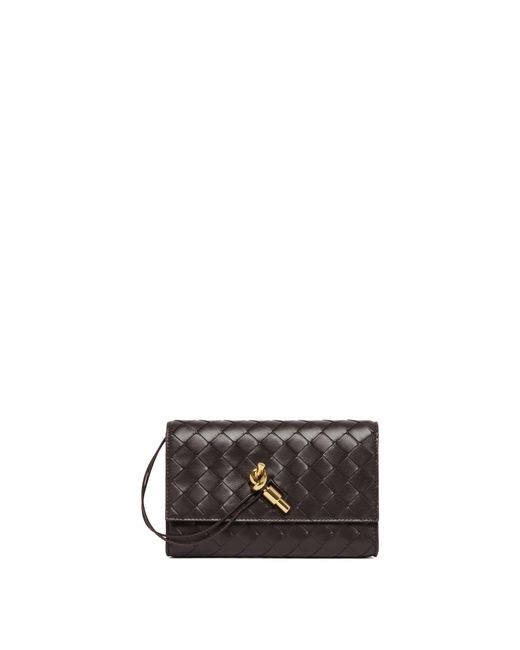 Bottega Veneta Brown Andiamo Pouch