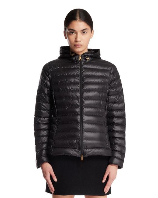 Moncler Black Igelhood Down Jacket