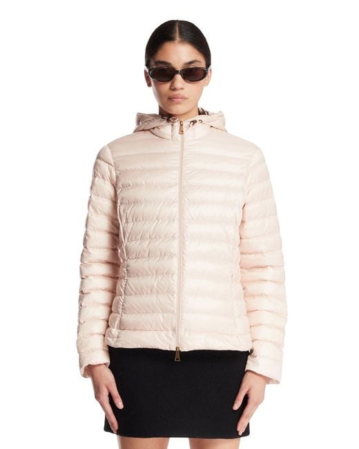 Moncler Natural Igelhood Down Jacket