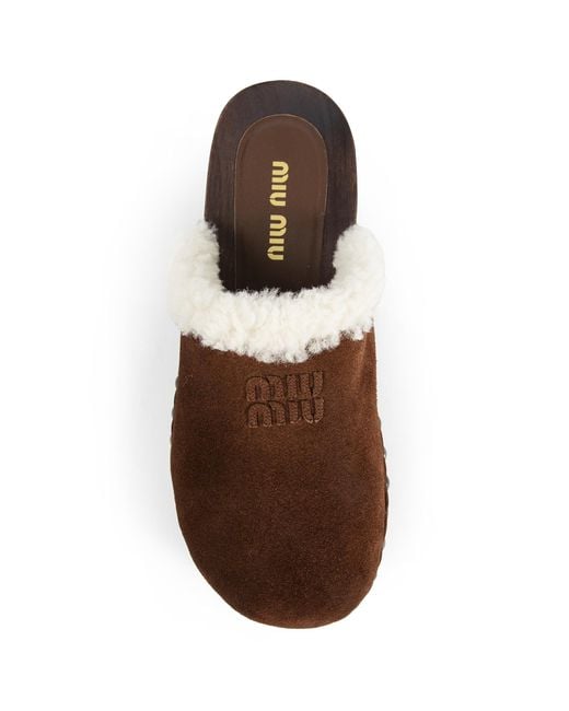 Miu Miu Brown Suede Clogs