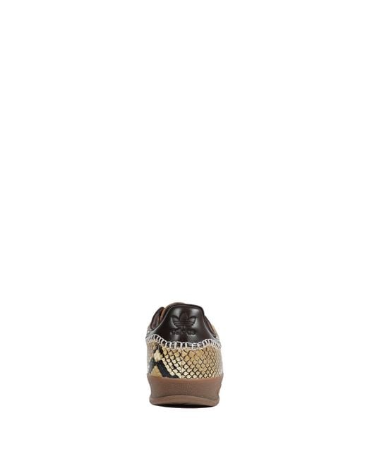 Adidas Brown X Wales Bonner Gazelle Sneakers for men