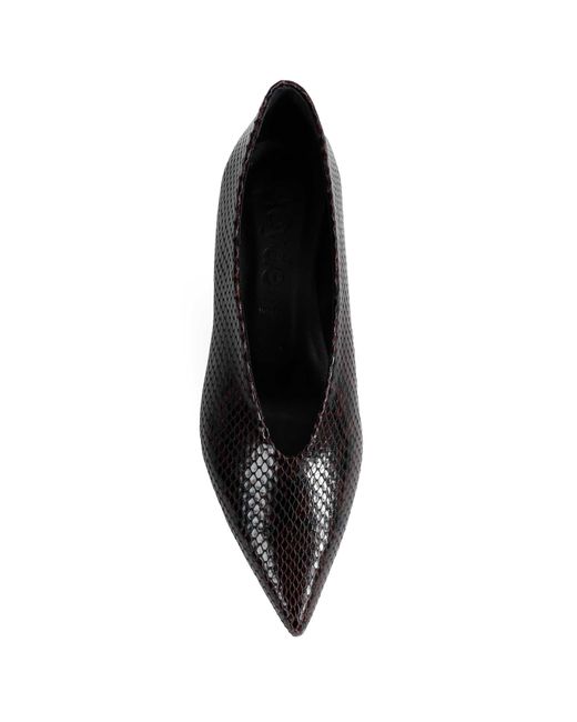 Aeyde Black Clara Pointed-Toe Pumps