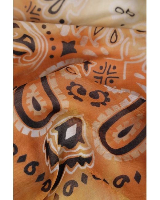 Destin Brown Scarves for men