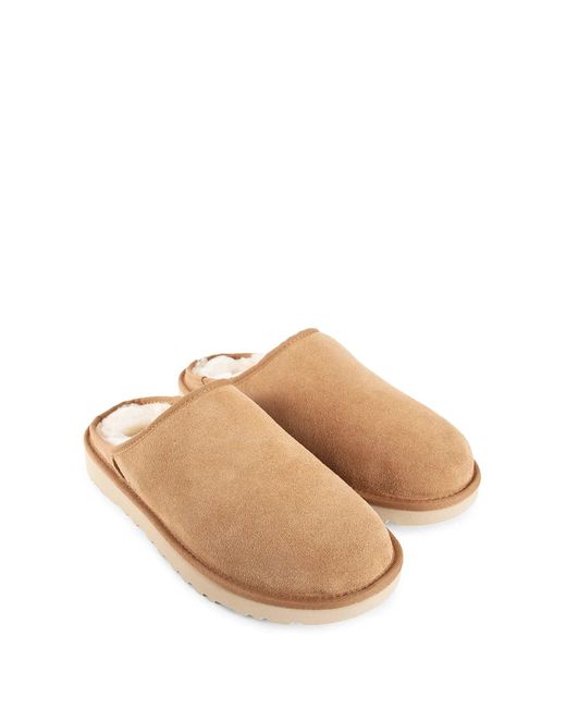 Ugg Brown Mules for men