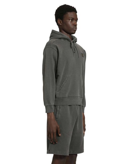 Carhartt Gray Nelson Hoodie for men