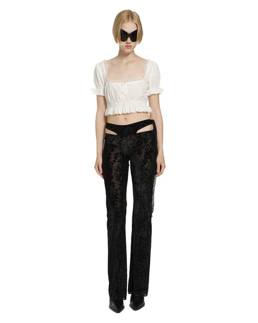 Daisy London Black Celestial Top