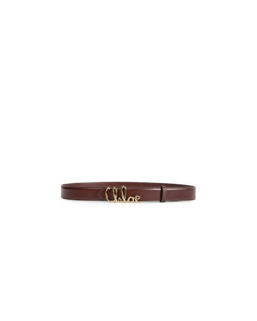Chloé Brown Iconic Logo Leather Belt